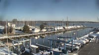 Havre de Grace - Tidewater Marina