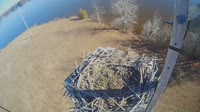 Kings Mountain - Osprey nest
