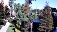 Orlando - Lake Buena Vista Resort