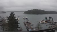Friday Harbor - Zbiór kamer