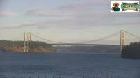 Tacoma - Narrows Bridge