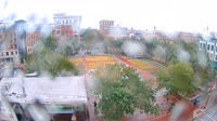 Savannah - Mehrere Webcams