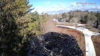 Falmouth - Waquoit Bay Reserve - Osprey Nest