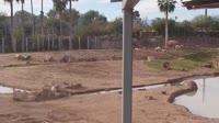 Tucson - Reid Park Zoo