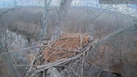 Loudoun - Dulles Greenway - Erelio lizdas