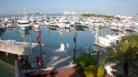 Tampa - Westshore Yacht Club Marina
