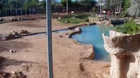 Tucson - Reid Park Zoo