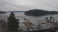Friday Harbor - Mehrere Webcams