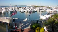 Tampa - Westshore Yacht Club Marina
