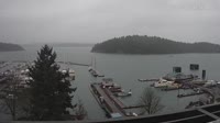 Friday Harbor - Zbiór kamer