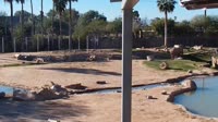 Tucson - Reid Park Zoo