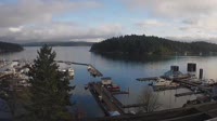 Friday Harbor - Mehrere Webcams