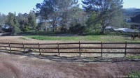San Diego - Foaling stall