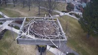 Coeur d'Alene - Osprey nest