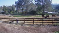 San Diego - Foaling stall