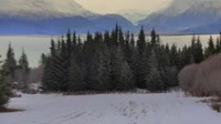 Fritz Creek - Kenai Peninsula