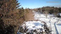 Falmouth - Waquoit Bay Reserve - Osprey Nest
