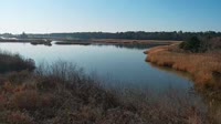 Surry - Hog Island - Wildlife Management Area