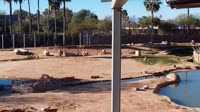 Tucson - Reid Park Zoo