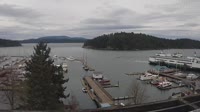 Friday Harbor - Zbiór kamer