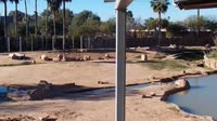 Tucson - Reid Park Zoo