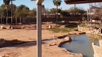Tucson - Reid Park Zoo