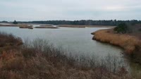 Surry - Hog Island - Wildlife Management Area