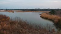Surry - Hog Island - Wildlife Management Area