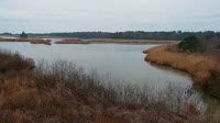 Surry - Hog Island - Wildlife Management Area