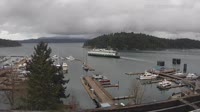 Friday Harbor - Raccolta di webcam