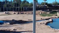 Tucson - Reid Park Zoo