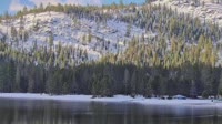 Donner Lake Village