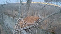 Loudoun - Dulles Greenway - Erelio lizdas