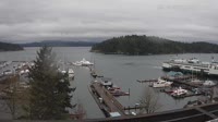 Friday Harbor - Raccolta di webcam