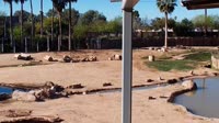 Tucson - Reid Park Zoo