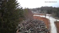 Falmouth - Waquoit Bay Reserve - Osprey Nest
