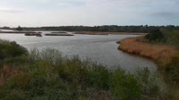 Surry - Hog Island - Wildlife Management Area