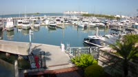 Tampa - Westshore Yacht Club Marina
