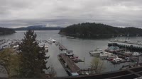 Friday Harbor - Colección de webcams