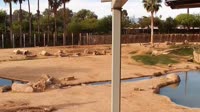 Tucson - Reid Park Zoo