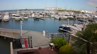 Tampa - Westshore Yacht Club Marina