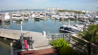 Tampa - Westshore Yacht Club Marina