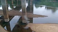 Cayce - Congaree River