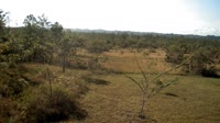 La Democracia - Monkey Bay Wildlife Sanctuary