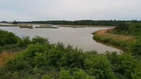 Surry - Hog Island - Wildlife Management Area