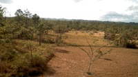 La Democracia - Monkey Bay Wildlife Sanctuary