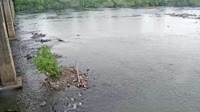 West Columbia - Congaree River