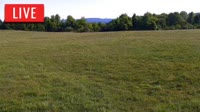LaFollette - Hatfield Knob Elk