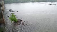 West Columbia - Congaree River