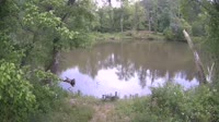 Bent Creek - French Broad River